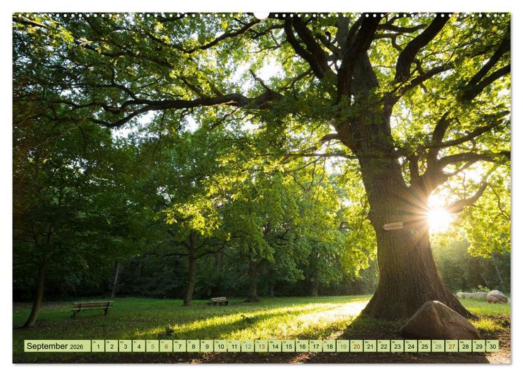 Produktbild: Gr&uuml;nes Halle/Saale - Meine wilde H&auml;ndelstadt (Wandkalender 2026 DIN A2 quer), CALVENDO Monatskalender