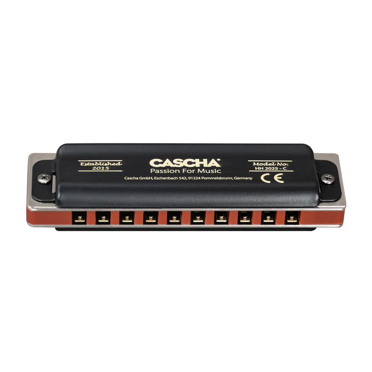 Produktbild: Professional Blues Harmonica in A (incl. case and cleaning cloth)