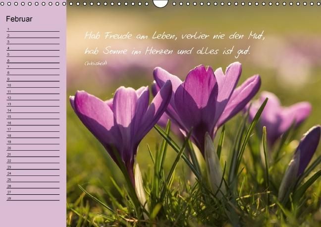 Produktbild: Blumengartenjahr - Geburtstagskalender mit sch&ouml;nen Zitaten (Wandkalender immerw&auml;hrend DIN A3 quer)
