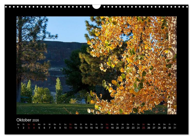 Produktbild: W&auml;lder, fotografiert auf vier Kontinenten (Wandkalender 2026 DIN A3 quer), CALVENDO Monatskalender
