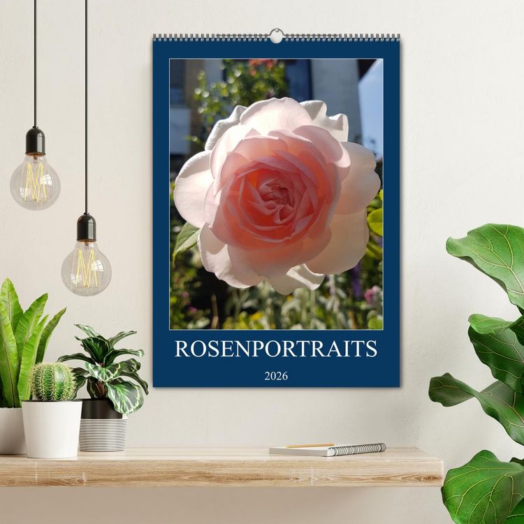 Produktbild: Rosenportr&auml;ts (Wandkalender 2026 DIN A2 hoch), CALVENDO Monatskalender