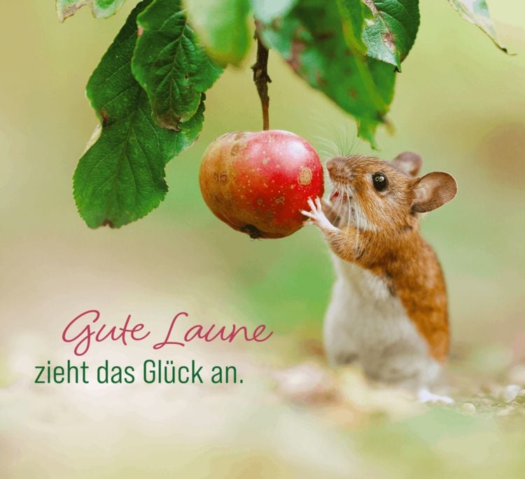 Produktbild: Kleine Gl&uuml;cksbringer f&uuml;r dich