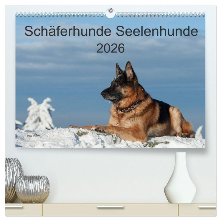Produktbild: Sch&auml;ferhunde Seelenhunde (hochwertiger Premium Wandkalender 2026 DIN A2 quer), Kunstdruck in Hochglanz