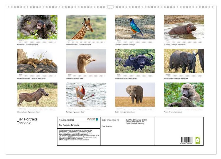 Produktbild: Tier Portraits Tansania (Wandkalender 2026 DIN A2 quer), CALVENDO Monatskalender