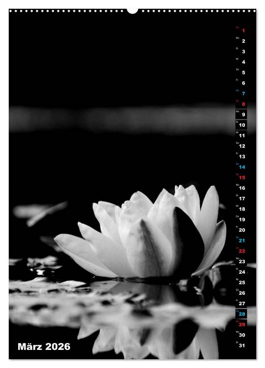 Produktbild: Blumige Graustufen - Schwarz und Wei&szlig; (Wandkalender 2026 DIN A2 hoch), CALVENDO Monatskalender