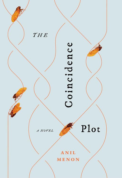 Produktbild: The Coincidence Plot