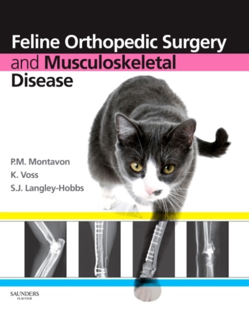 Produktbild: Feline Orthopedic Surgery and Musculoskeletal Disease