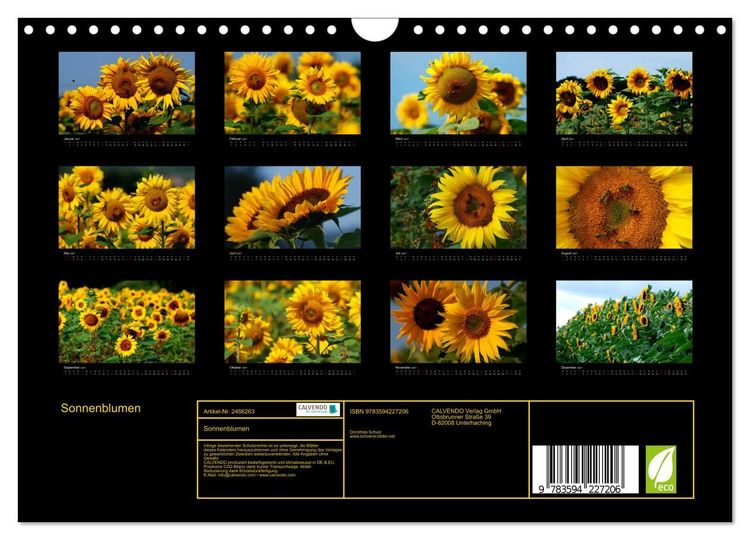 Produktbild: Sonnenblumen (Wandkalender 2027 DIN A4 quer), CALVENDO Monatskalender