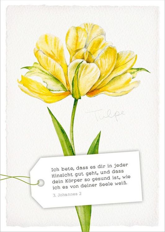 Produktbild: GartenGl&uuml;ck - Postkartenset