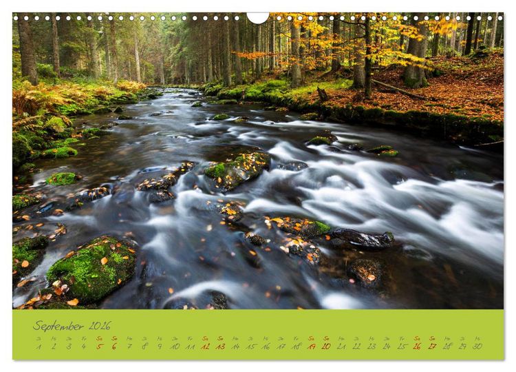 Produktbild: Der Bayerische Wald (Wandkalender 2026 DIN A3 quer), CALVENDO Monatskalender