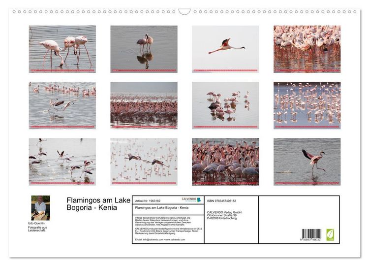 Produktbild: Flamingos am Lake Bogoria - Kenia (Wandkalender 2026 DIN A2 quer), CALVENDO Monatskalender