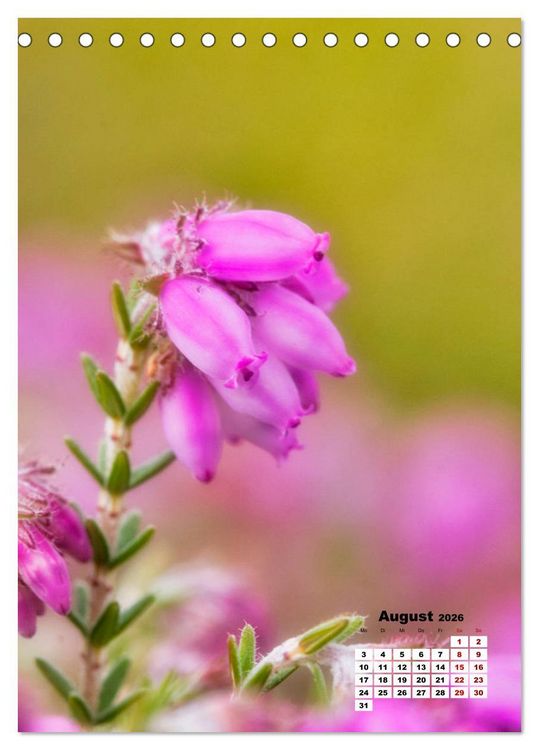 Produktbild: Spa&szlig; mit bunten Bl&uuml;mchen (Tischkalender 2026 DIN A5 hoch), CALVENDO Monatskalender