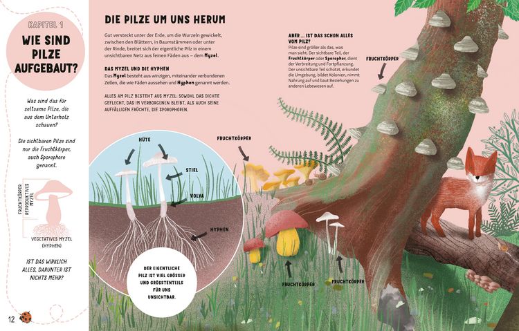 Produktbild: Die Geheimnisse der Pilze
