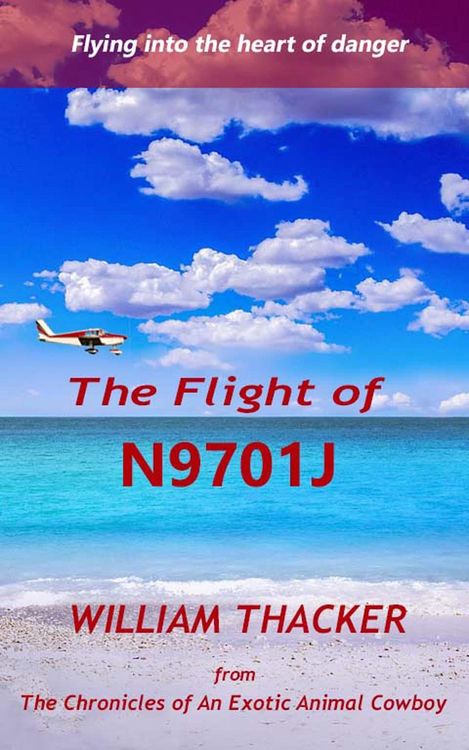 Produktbild: The Flight of N9701J