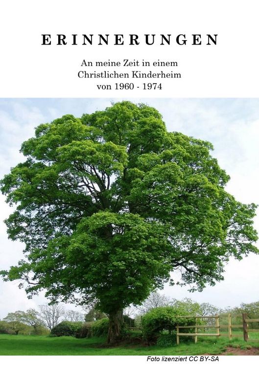 Produktbild: Erinnerungen