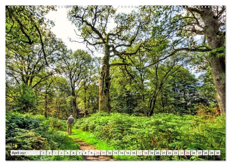 Produktbild: Naturpark Reinhardswald - Wo die Sababurg auf die Weser trifft (Wandkalender 2027 DIN A2 quer), CALVENDO Monatskalender