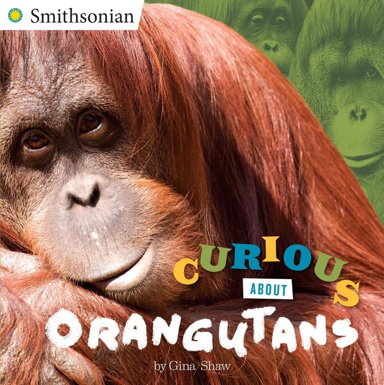 Produktbild: Curious About Orangutans