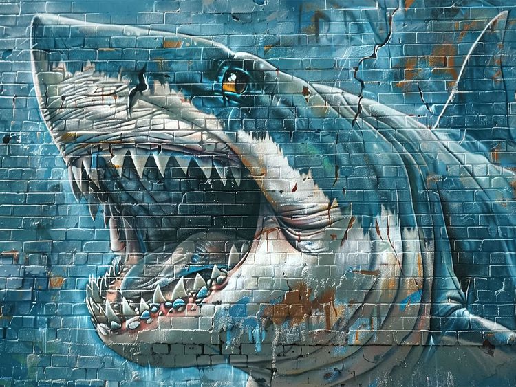 Produktbild: CALVENDO Puzzle Megalodon | 1000 Teile Lege-Gr&ouml;&szlig;e 64x48cm Foto-Puzzle f&uuml;r gl&uuml;ckliche Stunden