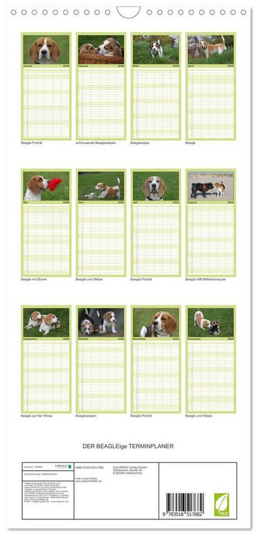Produktbild: Familienplaner 2026 - DER BEAGLEige TERMINPLANER mit 5 Spalten (Wandkalender, 21 x 45 cm) CALVENDO