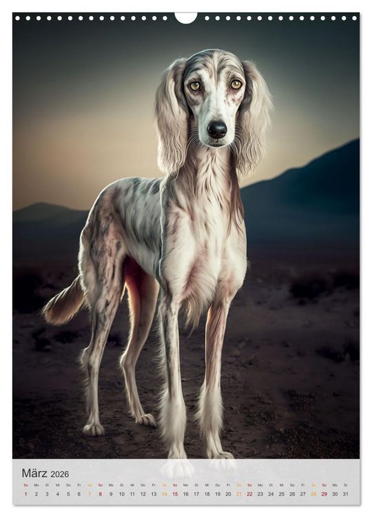 Produktbild: Persischer Windhund (Wandkalender 2026 DIN A3 hoch), CALVENDO Monatskalender