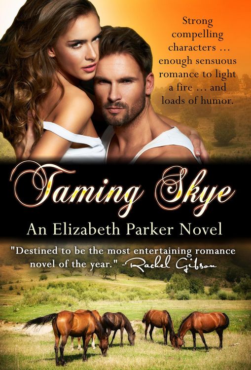 Produktbild: Taming Skye