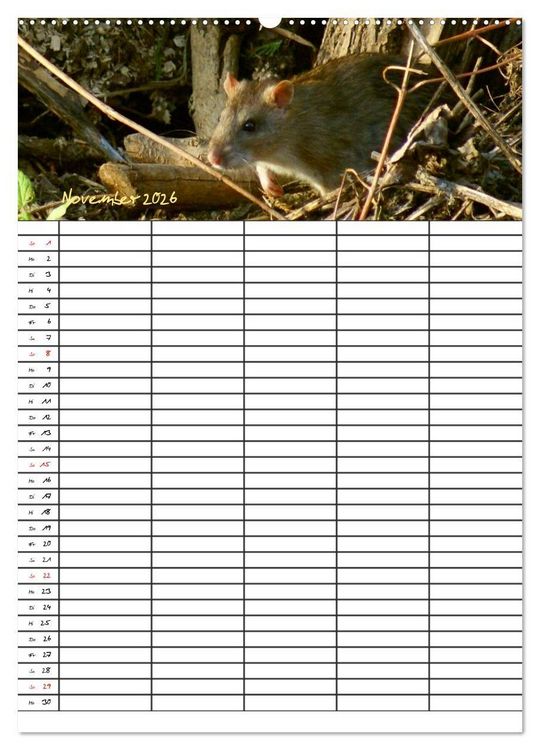 Produktbild: Bauernhoftiere Familienplaner (Wandkalender 2026 DIN A2 hoch), CALVENDO Monatskalender