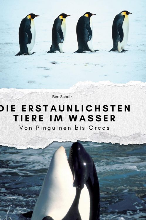Produktbild: Die erstaunlichsten Tiere im Wasser