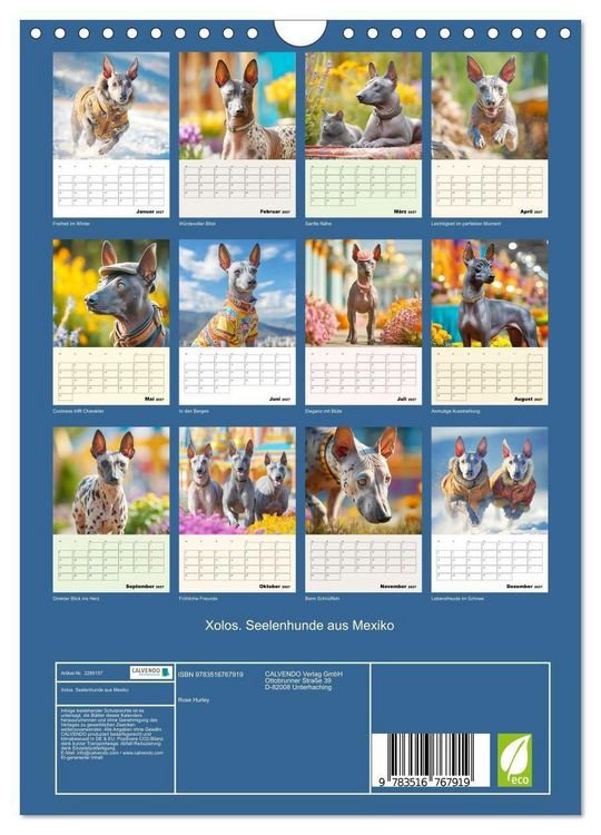 Produktbild: Xolos. Seelenhunde aus Mexiko (Wandkalender 2027 DIN A4 hoch), CALVENDO Monatskalender