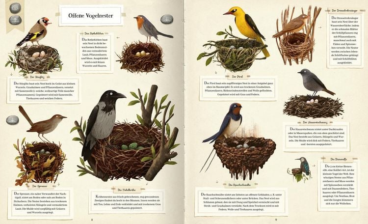 Produktbild: Tierisch gut gebaut &ndash; Von Nestern, H&ouml;hlen und anderen Tierwohnungen