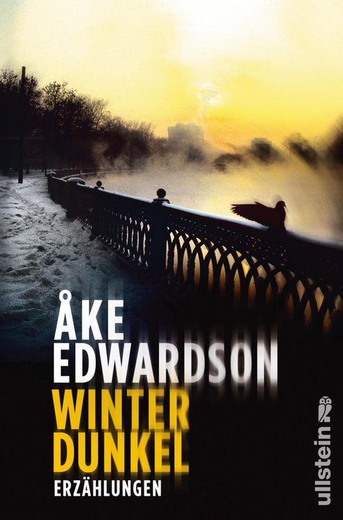Produktbild: Winterdunkel