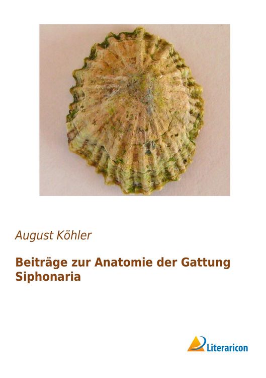 Produktbild: Beitr&auml;ge zur Anatomie der Gattung Siphonaria