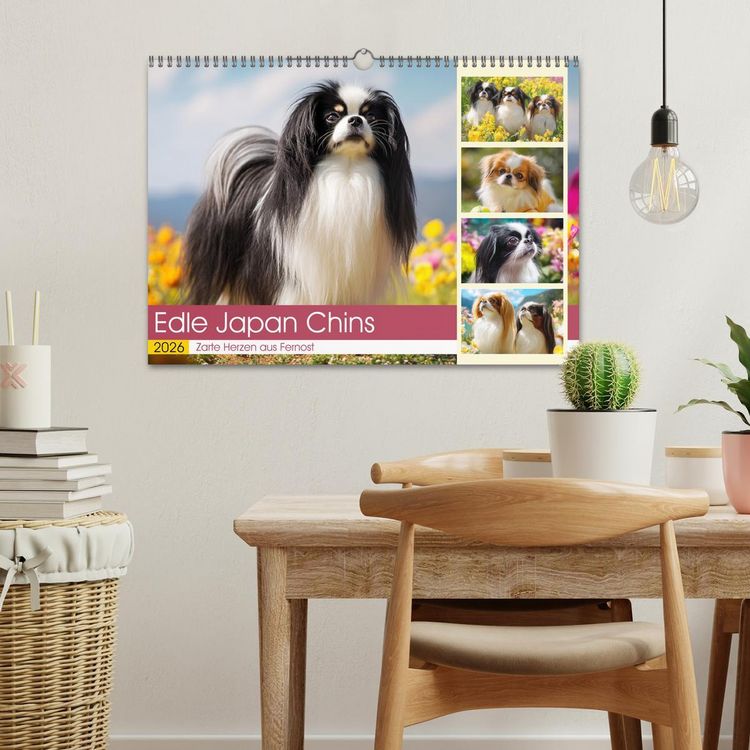Produktbild: Edle Japan Chins. Zarte Herzen aus Fernost (Wandkalender 2026 DIN A3 quer), CALVENDO Monatskalender