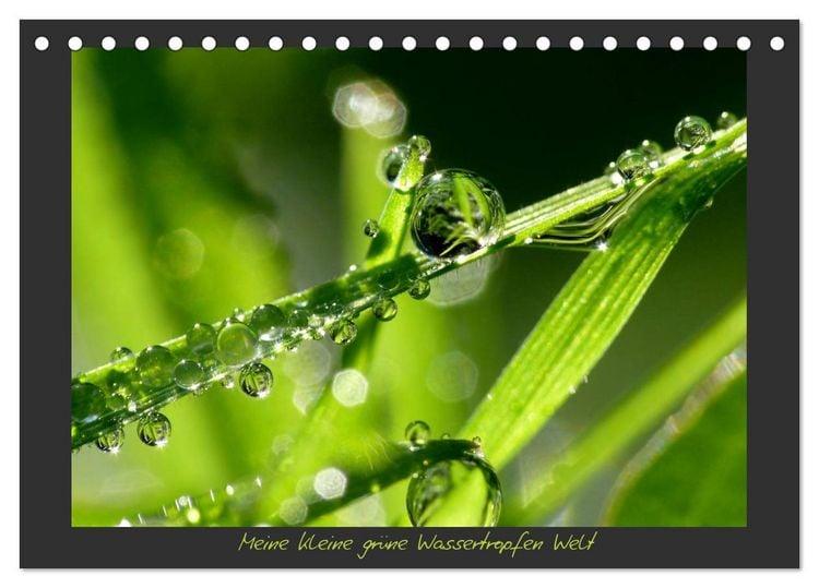 Produktbild: Meine kleine gr&uuml;ne Wassertropfen Welt (Tischkalender 2026 DIN A5 quer), CALVENDO Monatskalender