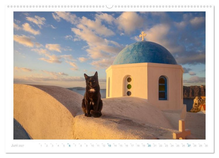 Produktbild: Inselkatzen (Wandkalender 2027 DIN A2 quer), CALVENDO Monatskalender