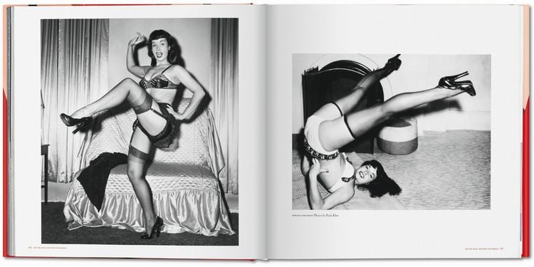 Produktbild: The Big Book of Legs