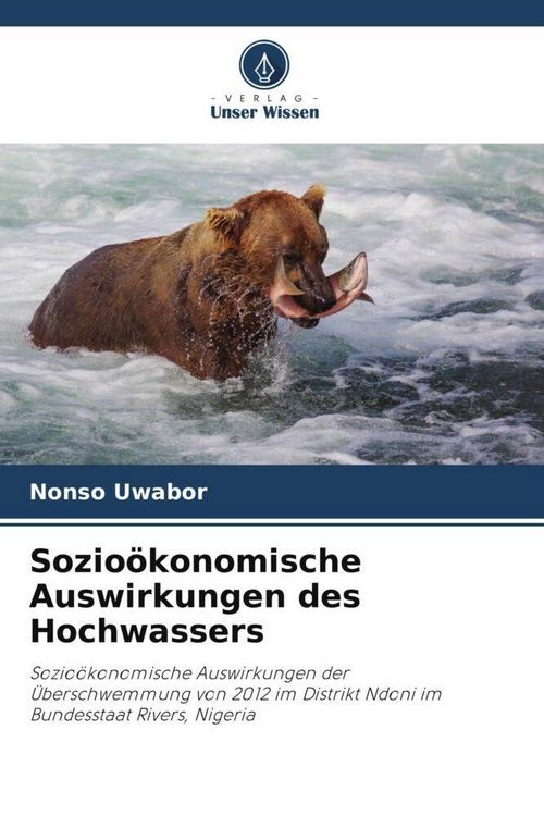 Produktbild: Sozio&ouml;konomische Auswirkungen des Hochwassers