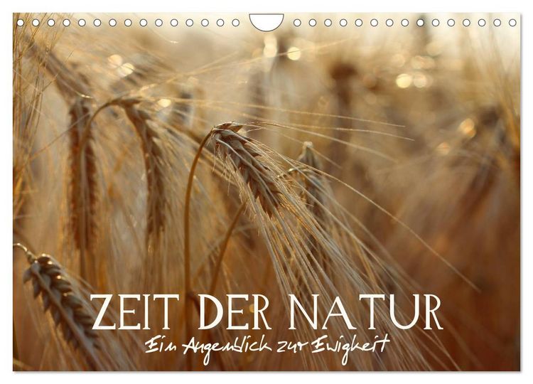 Produktbild: Zeit der Natur - Ein Augenblick zur Ewigkeit (Wandkalender 2026 DIN A4 quer), CALVENDO Monatskalender