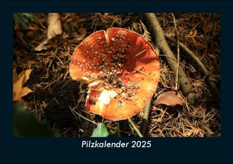 Produktbild: Pilzkalender 2025 Fotokalender DIN A5