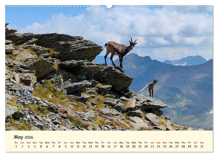 Produktbild: Switzerland and its majestic Alps (Wall Calendar 2026 DIN A2 landscape), CALVENDO 12 Month Wall Calendar