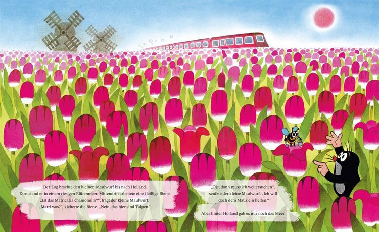 Produktbild: Wie der kleine Maulwurf das M&auml;uslein heilte