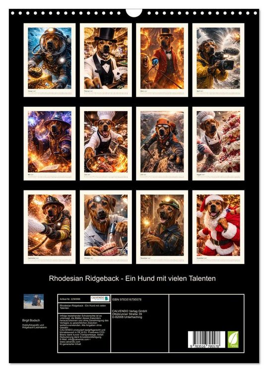 Produktbild: Rhodesian Ridgeback - Ein Hund mit vielen Talenten (Wandkalender 2027 DIN A3 hoch), CALVENDO Monatskalender