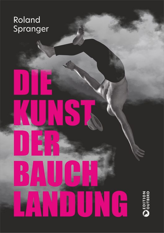 Produktbild: Die Kunst der Bauchlandung