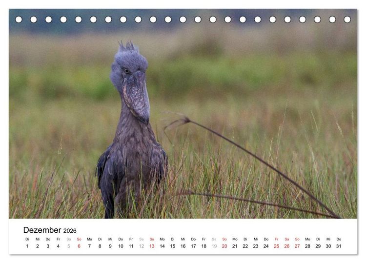 Produktbild: Uganda - die Perle Afrikas (Tischkalender 2026 DIN A5 quer), CALVENDO Monatskalender