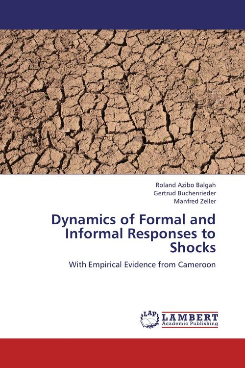 Produktbild: Dynamics of Formal and Informal Responses to Shocks