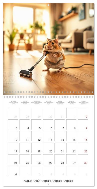Produktbild: Hamster housekeeping - little paws and big Jobs (Wall Calendar 2026 12 &times; 12 Inch) CALVENDO 12 Month Wall Calendar