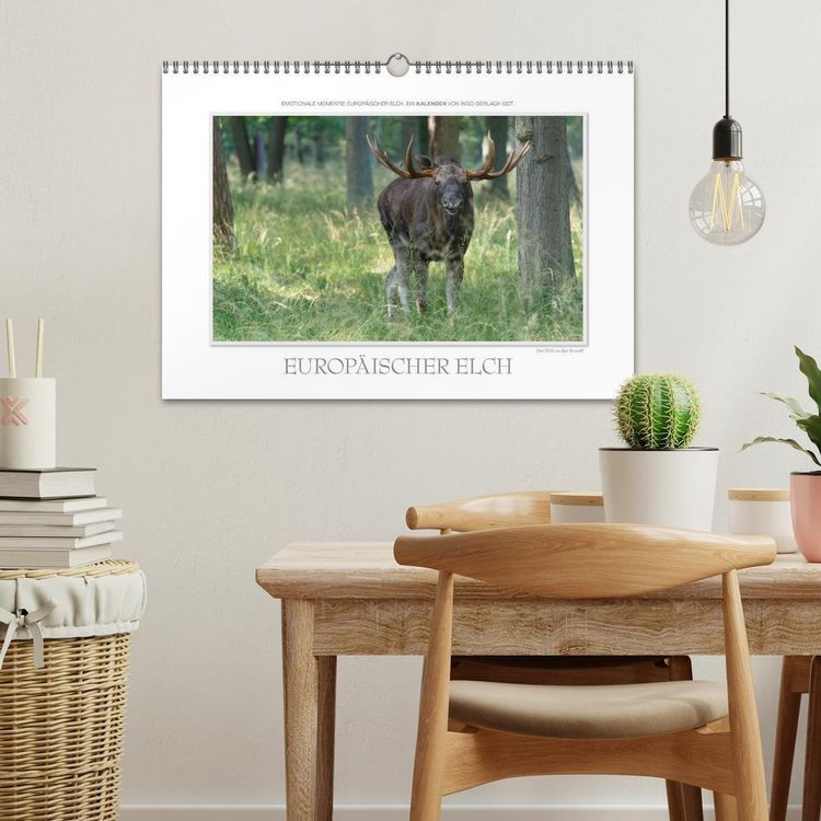 Produktbild: Emotionale Momente: Europ&auml;ischer Elch. (Wandkalender 2027 DIN A3 quer), CALVENDO Monatskalender