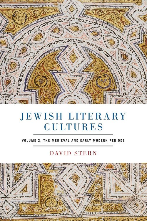 Produktbild: Jewish Literary Cultures