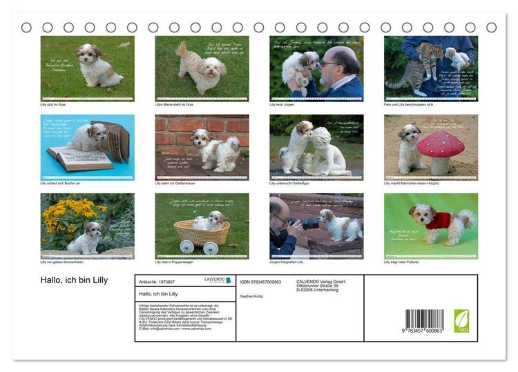 Produktbild: Hallo, ich bin Lilly (Tischkalender 2026 DIN A5 quer), CALVENDO Monatskalender