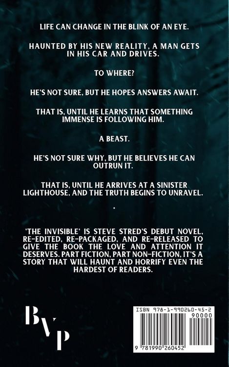 Produktbild: The Invisible