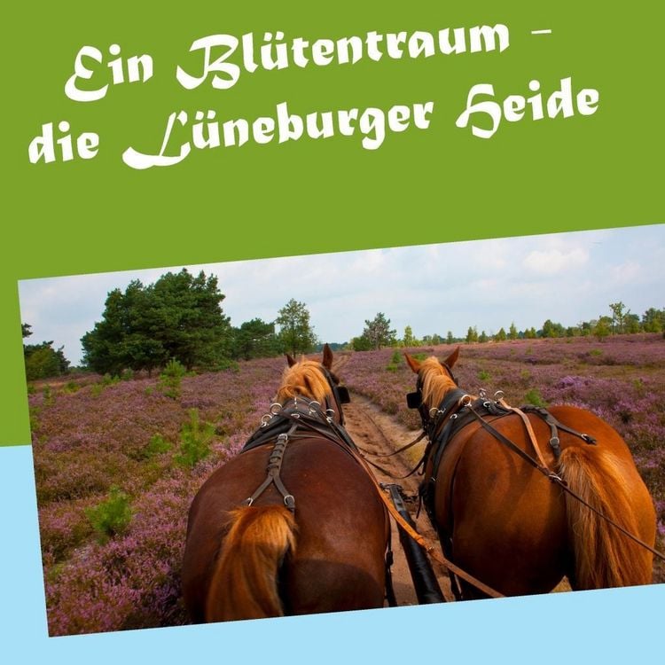 Produktbild: Ein Bl&uuml;tentraum - die L&uuml;neburger Heide